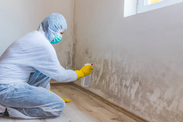 Commercial Mold Remediation assessment for commercial property in Emporia